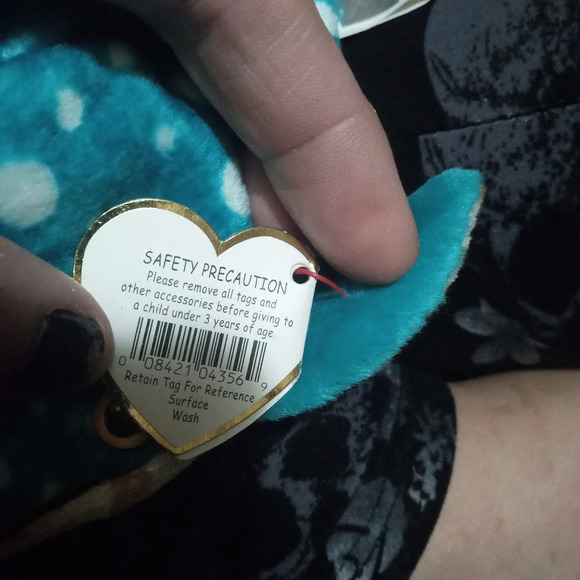 Poseidon the Whale Shark - Picture 7 of 9